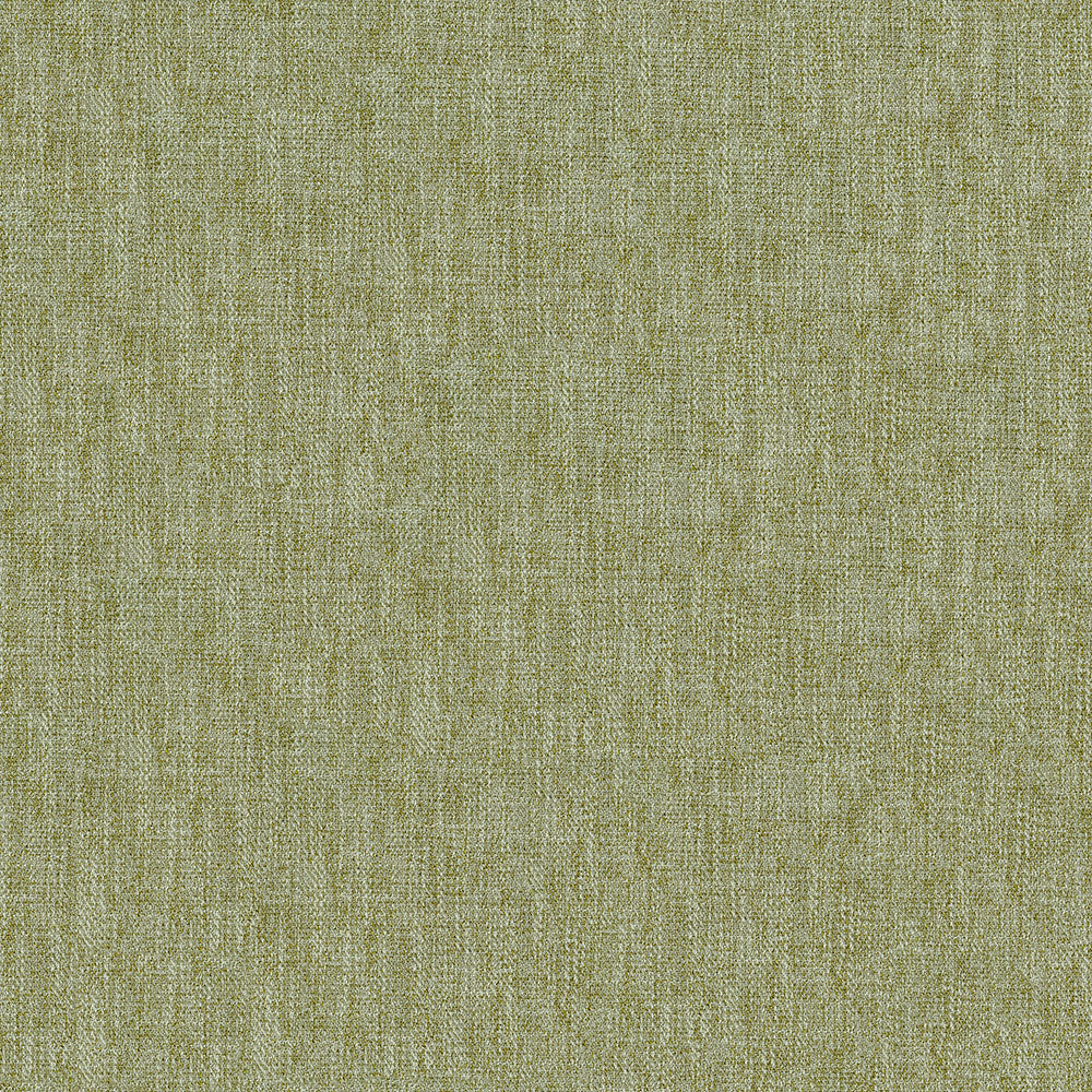 Yates Lichen 202